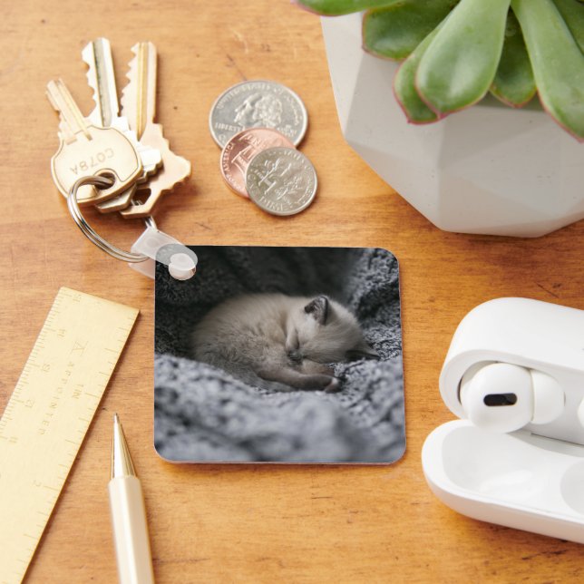 Porte-clés Animaux de bébés cutest | Tiny Kitten Dormir (Bureau)