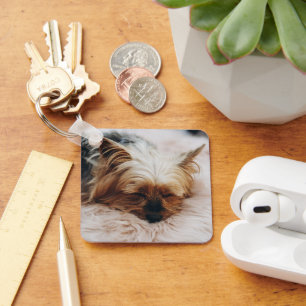 Porte-clés Animaux de bébés cutest   Yorkshire Terrier