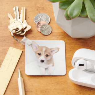 Porte-clés Animaux de bébés cutest Young Corgi Puppy