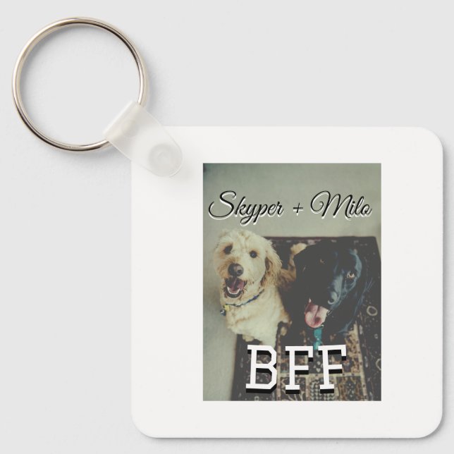 Porte-clés Animaux de compagnie amis besties ajouter nom anim (Recto)