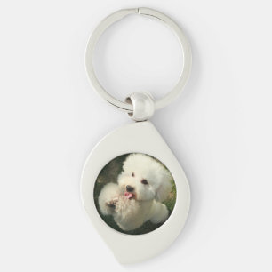 Porte-clés Animaux domestiques, chien, caniche