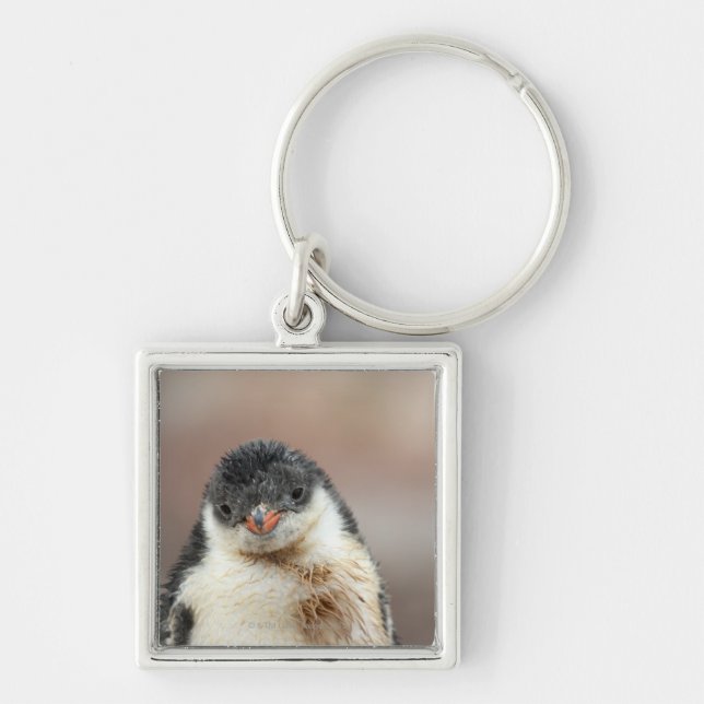 Porte-clés Antarctique (Devant)