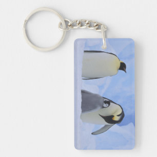 Porte-clés Antarctique. Manchots empereurs et poussin
