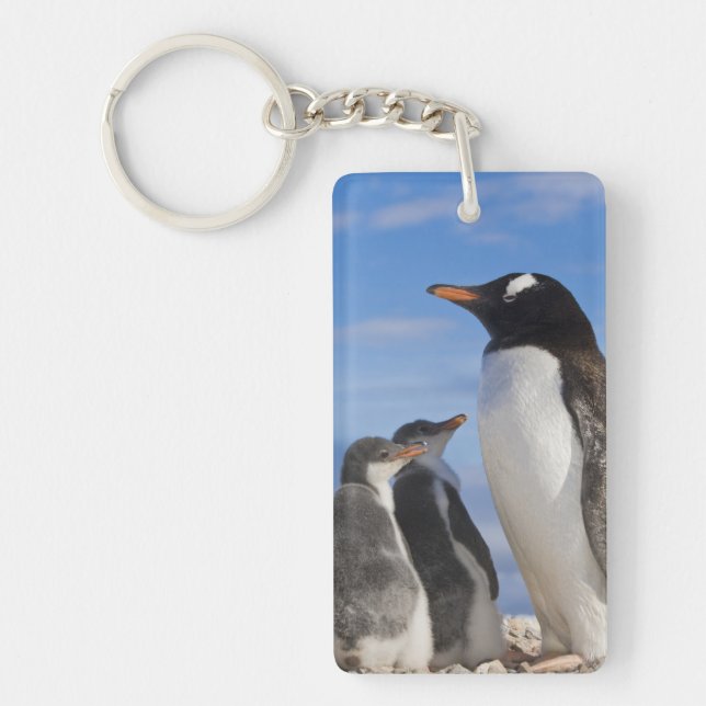 Porte-clés Antarctique, Neko Cove (Port). Pingouin Gentoo 2 (Devant)