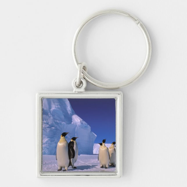 Porte-clés Antarctique, territoire australien antarctique, 7 (Devant)