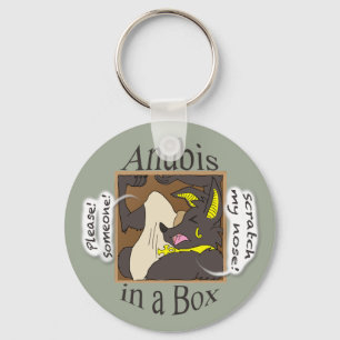 Porte-clés Anubis dans une boîte