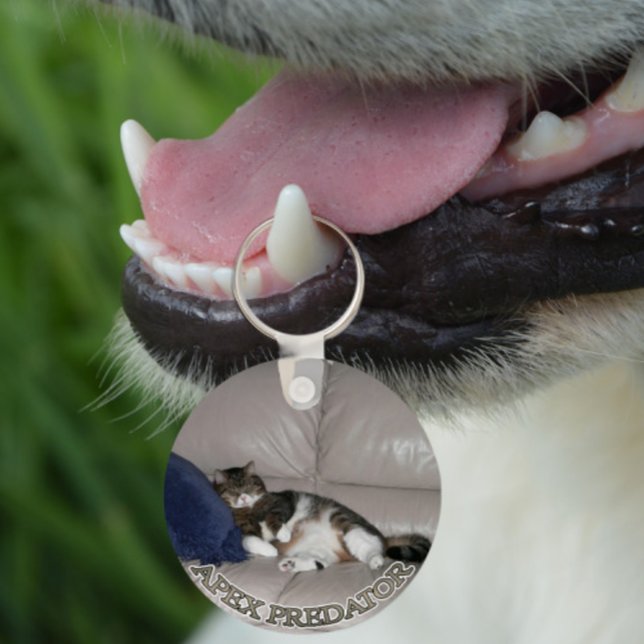 Porte-clés Apex Predator Fat lazy cat keychain (Créateur téléchargé)