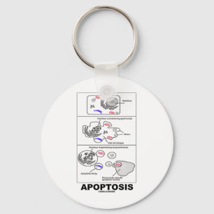 Porte-clés Apoptose (mort cellulaire de biologie)