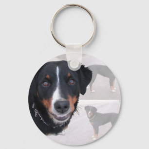 Porte-clés "Appenzeller Sennenhund"