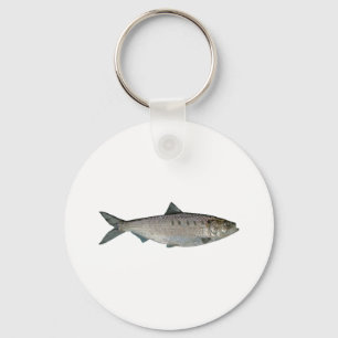 Porte-clés Aquarelle Hicky Shad