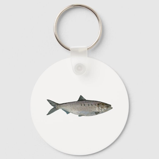 Porte-clés Aquarelle Hicky Shad (Recto)