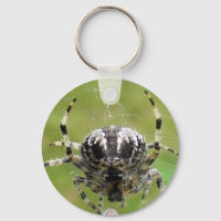 Araignée au travail Clavier