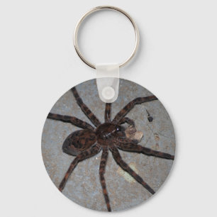 Porte-clés araignée de loup avec le porte - clé de