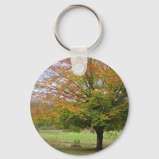 Porte-clés Arbre dans le Porte - clé d'automne (Recto)