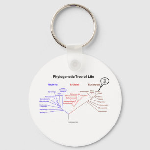 Porte-clés Arbre de la vie phylogénétique - vous êtes ici 