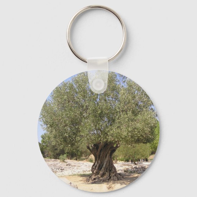 Porte-clés Arbre d'olive Israël (Recto)