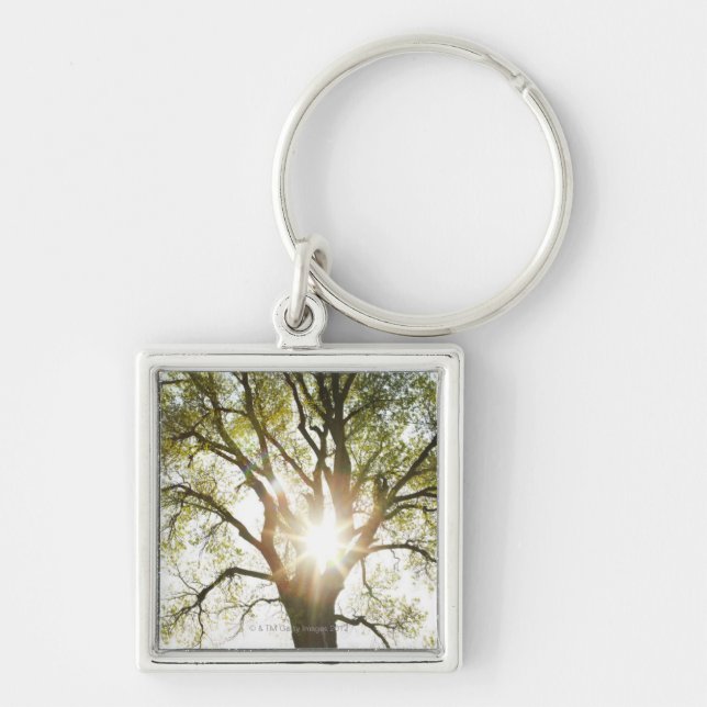 Porte-clés Arbre ensoleillé (Devant)