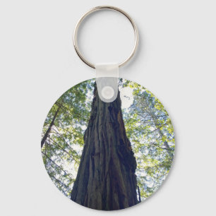 Porte-clés Arbre séquoia géant
