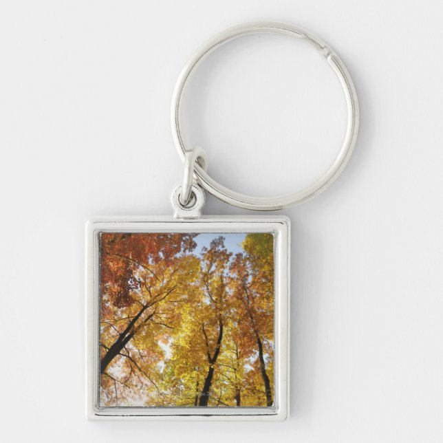 Porte-clés Arbres colorés (Devant)