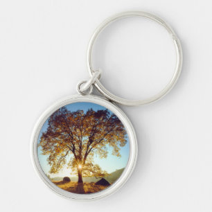 Porte-clés Arbres de chêne noir   Forêt nationale de Clevelan