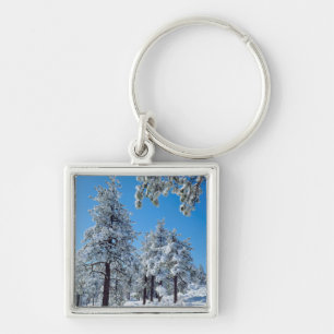 Porte-clés Arbres enneigés dans les montagnes de Laguna