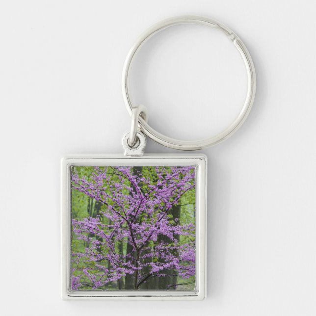 Porte-clés Arbres Redbud en pleine floraison printanière près (Devant)