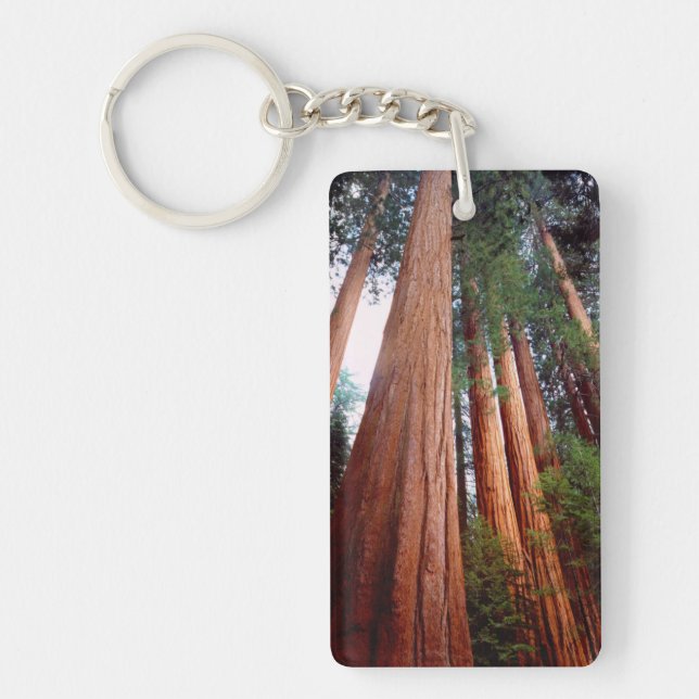 Porte-clés Arbres séquoias géants à feuilles persistantes (Devant)