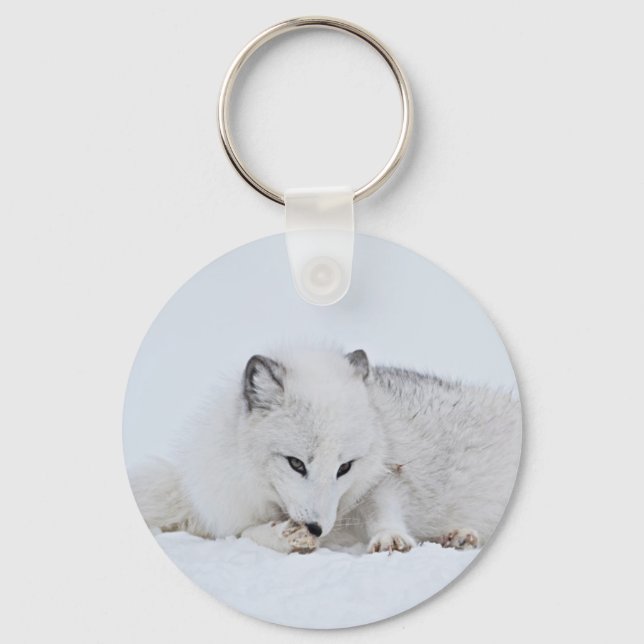 Porte-clés Arctic Fox in the Snow (Recto)