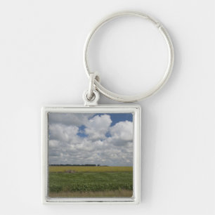 Porte-clés Argentine, Buenos Aires, San Antonio de Areco.