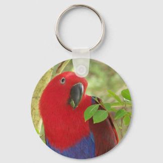 Porte-clés Aria Grand Eclectus Parrot