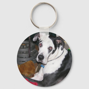 Porte-clés Arlequin Great Dane