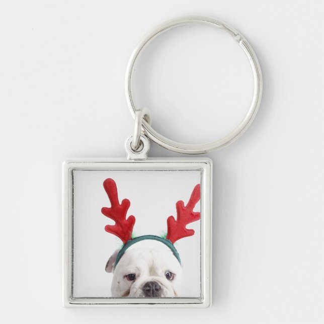 Porte-clés arrière - plan blanc, bulldog mâle blanc, rouge (Devant)