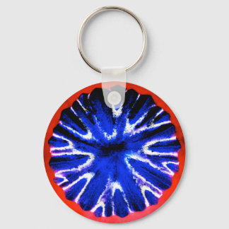 Porte-clés Art de fleur d'aster