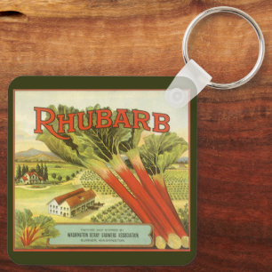 Porte-clés Art d'étiquette de canette de légumes vintage, Fer
