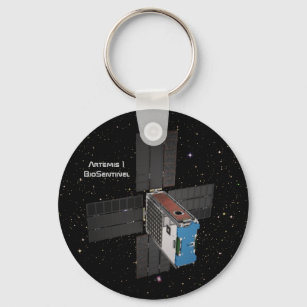 Porte-clés Artemis BioSentinel CubeSat