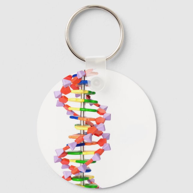 Porte-clés Artificial DNA model (Recto)