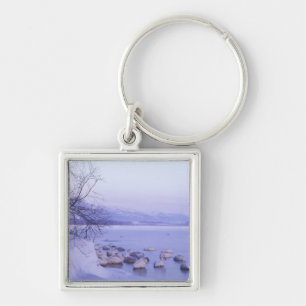 Porte-clés Asie, Japon, Hokkaido, Parc national d'Akan, Cygne