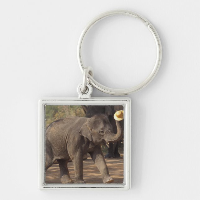 Porte-clés Asie, Thaïlande, Lampang Bowing avec casquette - T (Devant)