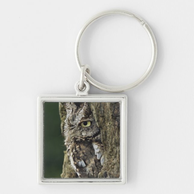 Porte-clés Asio oriental d'Otus de hibou de cri strident (Devant)