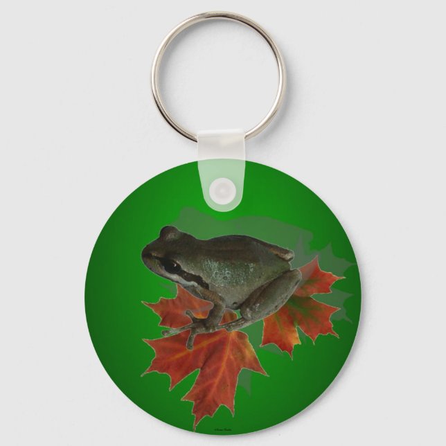 Porte-clés Assis Sur Porte - clé Feuille (Recto)