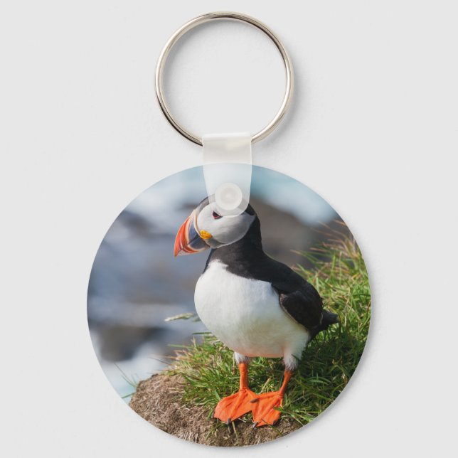 Porte-clés Atlantic Puffin Fratercula Arctica (Recto)