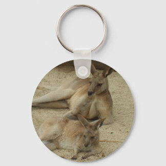 Porte-clés Atteindre les rayons