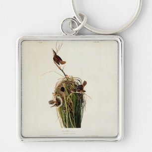 Porte-clés Audubon Marsh Wren Bird Art