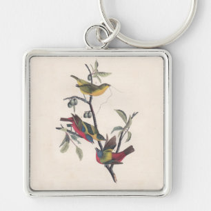 Porte-clés Audubon Peint Bunting Bird Wildlife