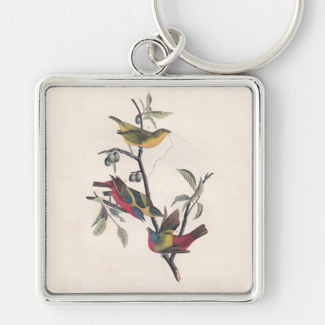 Porte-clés Audubon Peint Bunting Bird Wildlife (Devant)