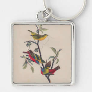 Porte-clés Audubon Peint Bunting Bird Wildlife
