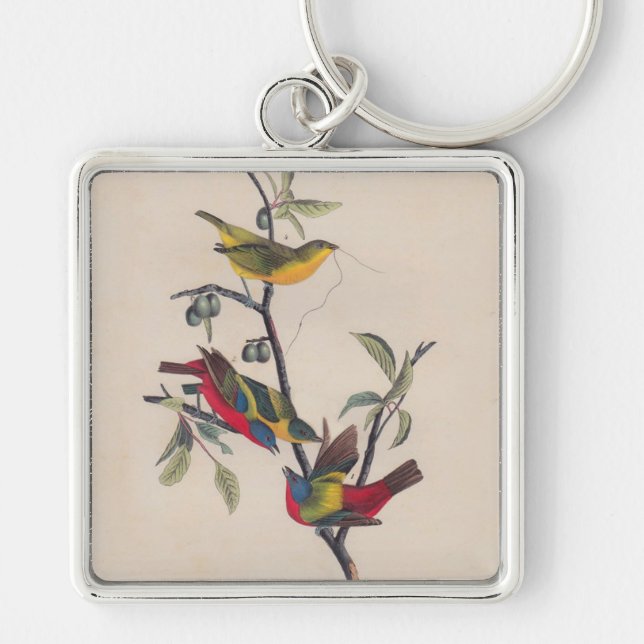 Porte-clés Audubon Peint Bunting Bird Wildlife (Devant)