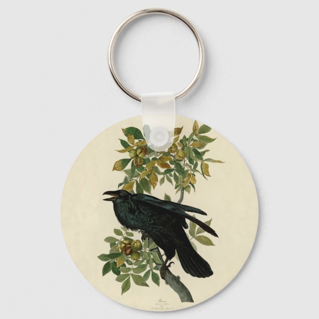 Porte-clés Audubon Raven Bird Classic Artwork (Recto)