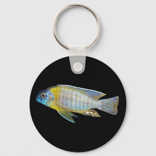 Porte-clés Aulonocara steveni porte - clé