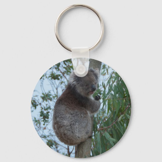 Porte-clés Australia Kangaroo Island Koala in a Tree (Recto)